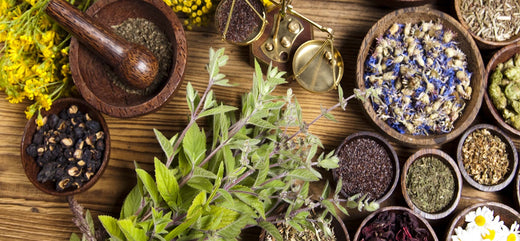 The Traditional Origins of Shilajit: A Journey Through Time and Culture