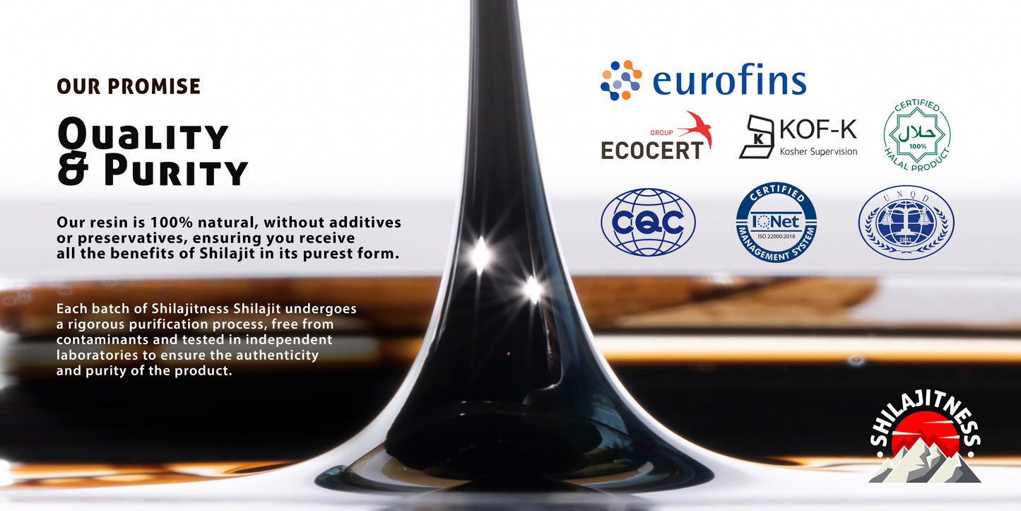 Pure Shilajit Resin