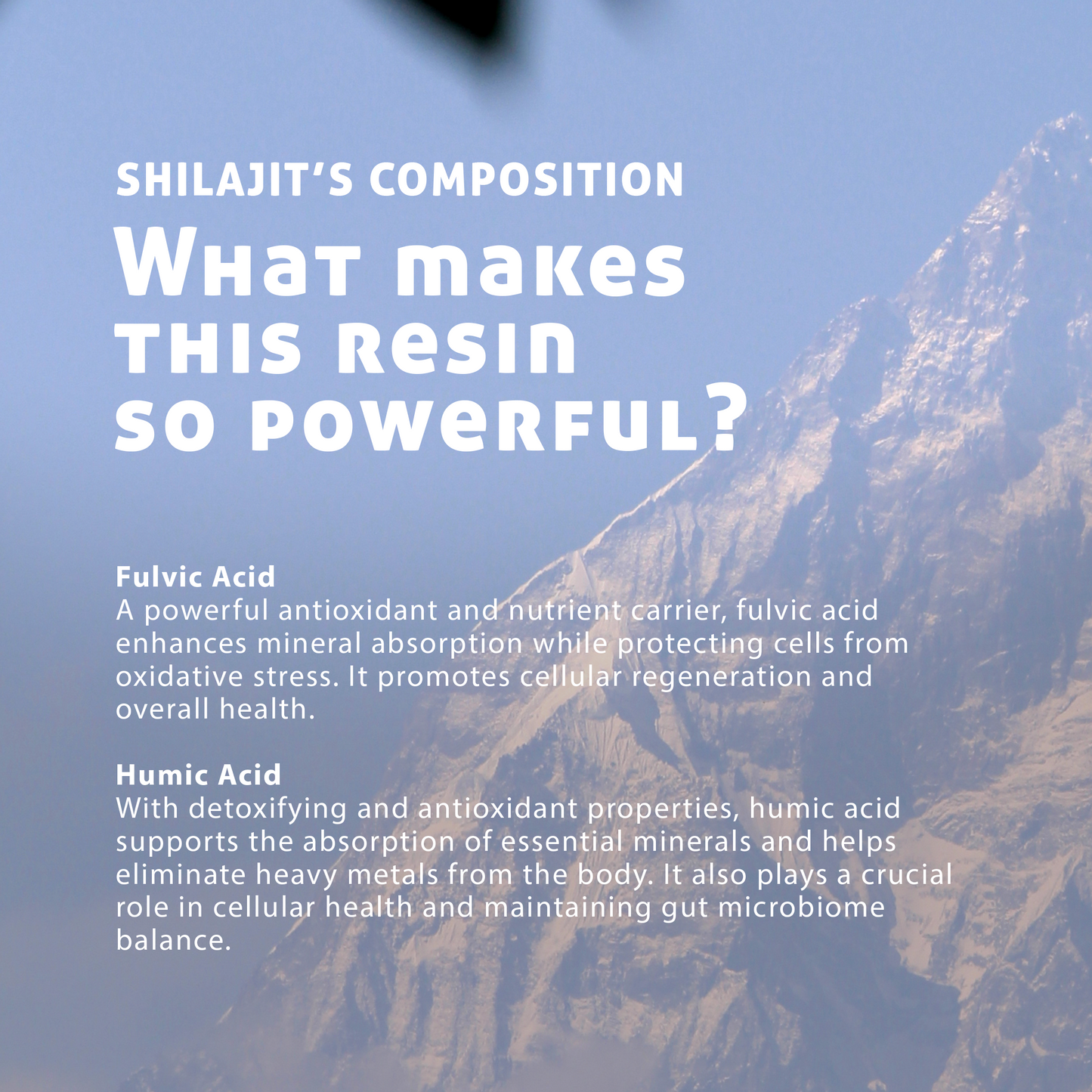 Pure Shilajit Resin