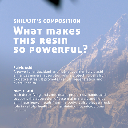 Pure Shilajit Resin