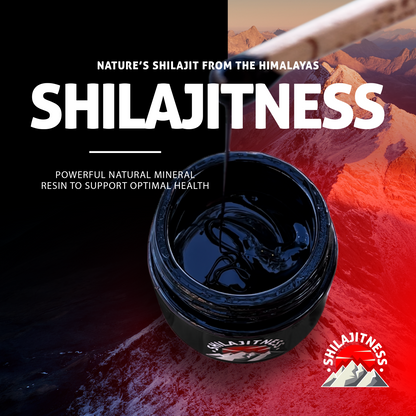 Pure Shilajit Resin