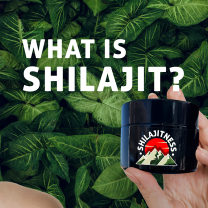 Pure Shilajit Resin